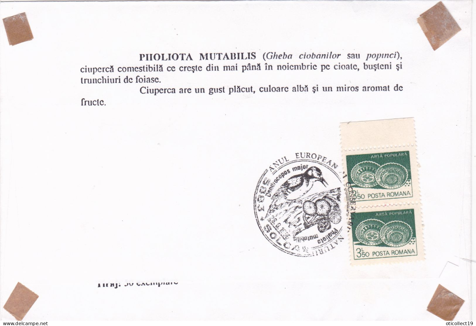 WOODPECKER, SPECIAL  PMK ON COVERS WITH STAMPS 1992 , ROMANIA, - Pics & Grimpeurs