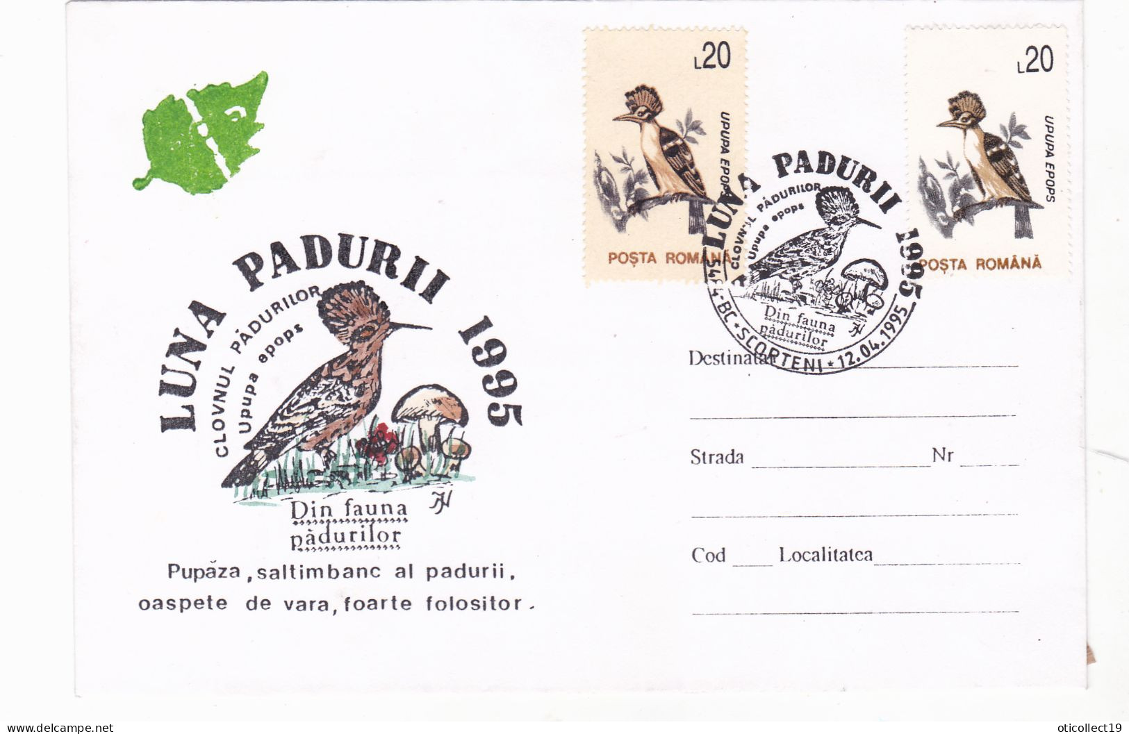 HOOPOE, SPECIAL  PMK ON COVERS WITH STAMPS 1995 RARE!, ROMANIA - Piciformes (pájaros Carpinteros)