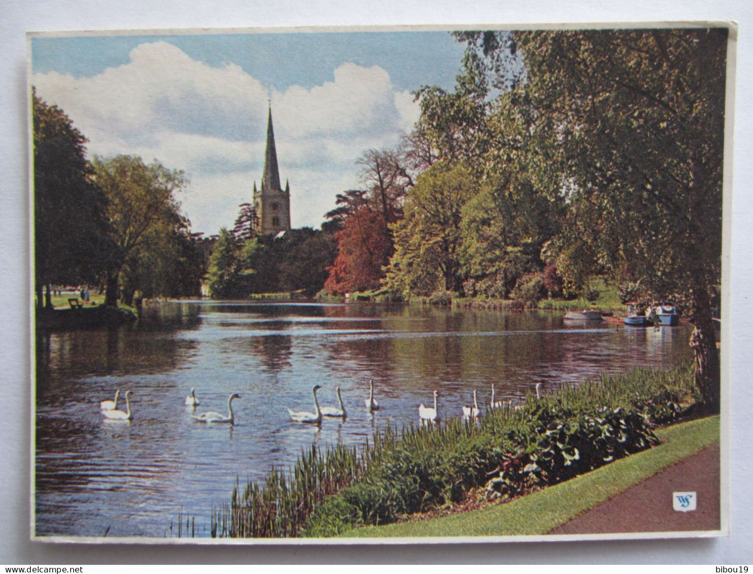 SWANS ON THE AVON STATFORD UPON AVON - Stratford Upon Avon