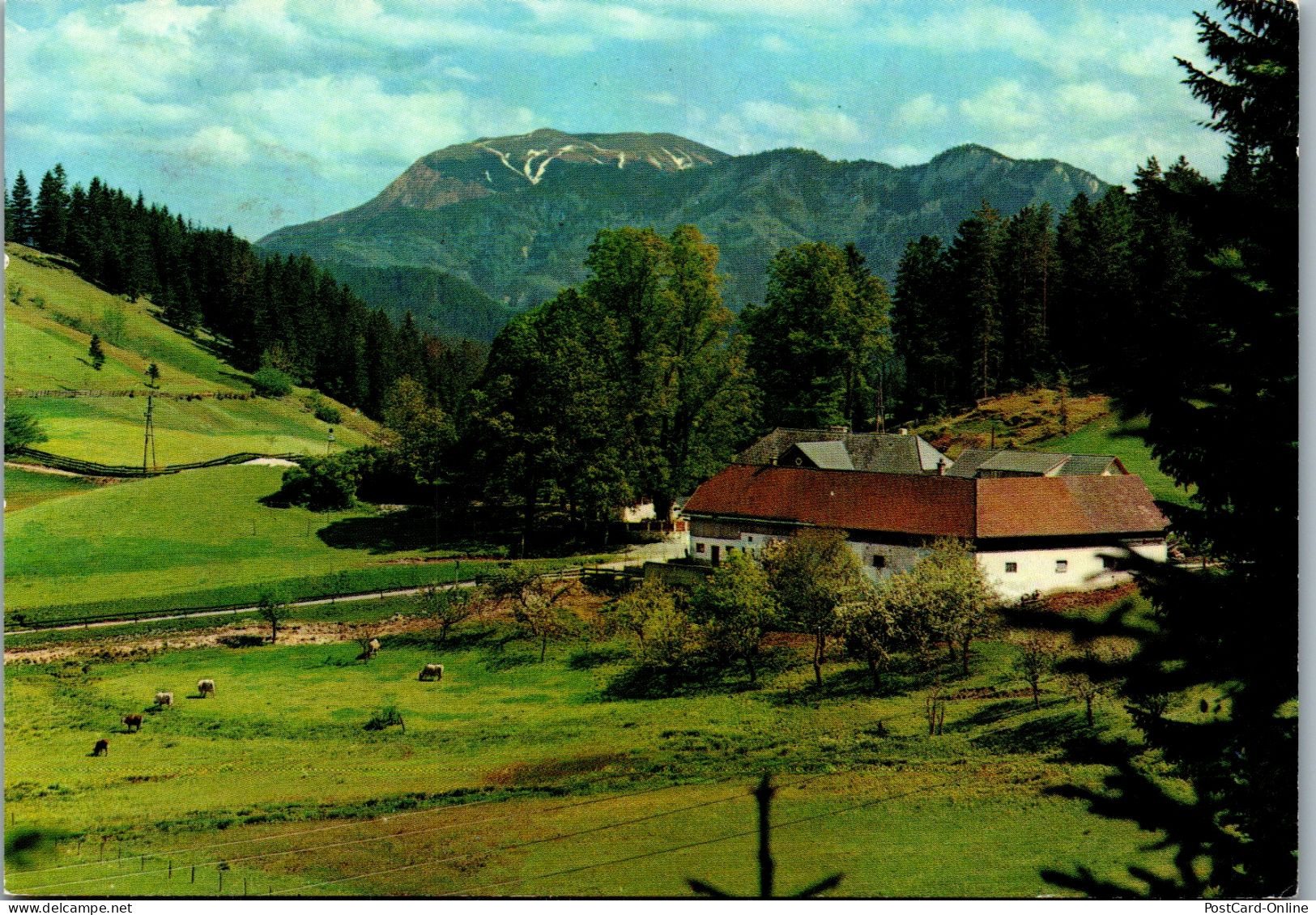 48125 - Niederösterreich - Rohr Im Gebirge , Gasthof Kalte Kuchl Mit Blick Auf Schneeberg - Gelaufen 1984 - Wiener Neustadt