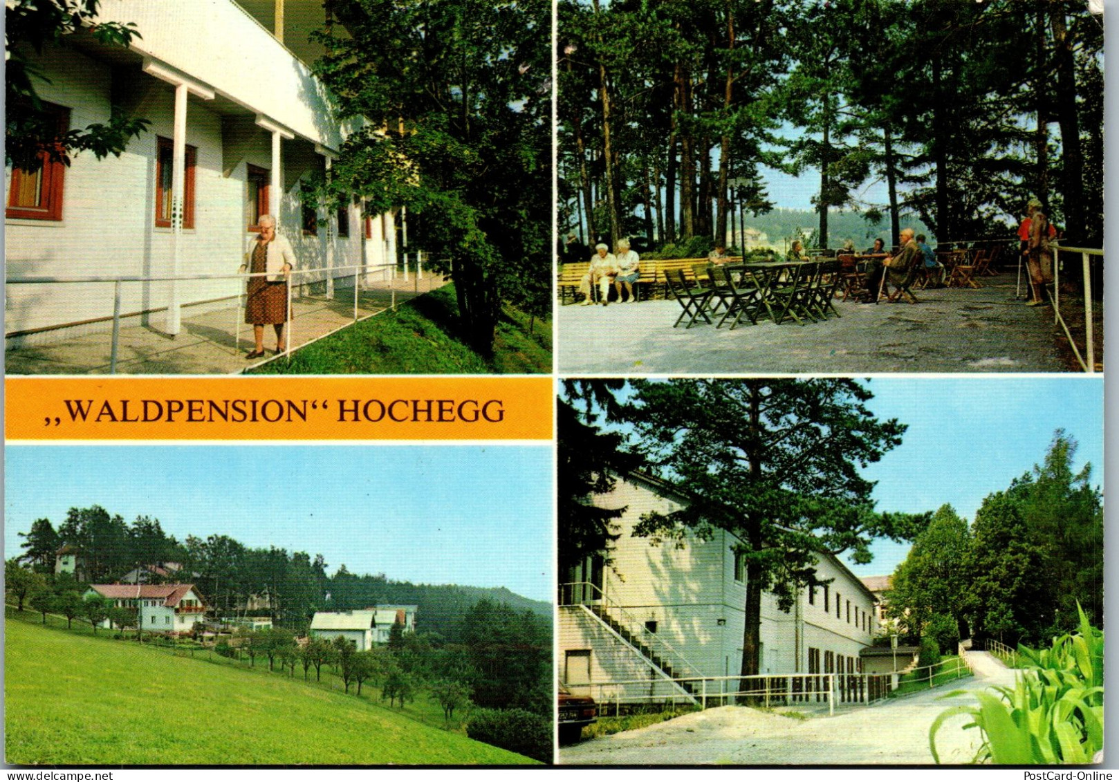 48097 - Niederösterreich - Hochegg , Grimmenstein , Waldpension Hochegg - Gelaufen 1982 - Neunkirchen