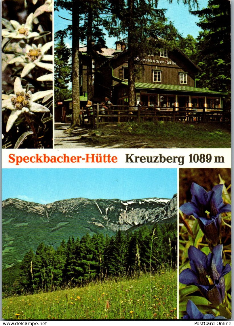 48079 - Niederösterreich - Breitenstein , Semmering , Kreuzberg , Speckbacher Hütte , Karin Rosenberger , Rax - Semmering