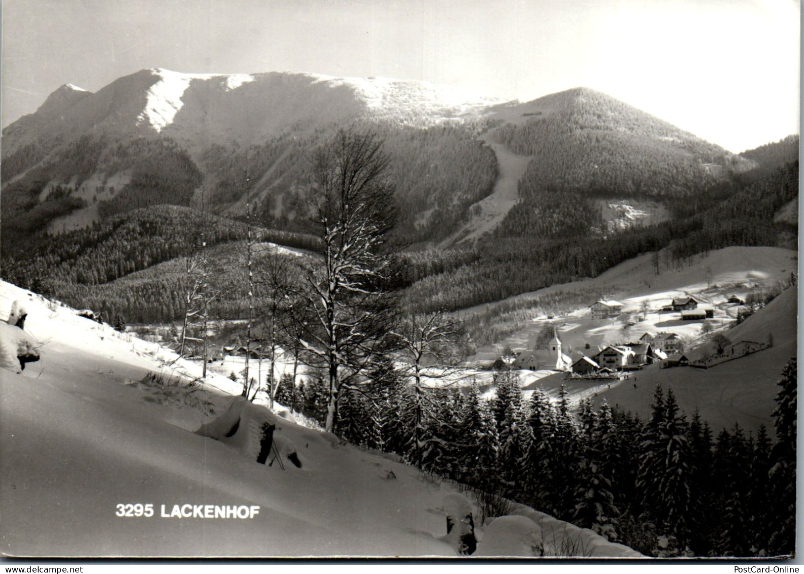 48068 - Niederösterreich - Lackenhof , Am Ötscher , Panorama - Gelaufen 1978 - Gaming