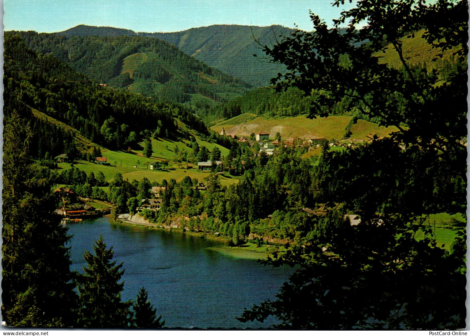 48036 - Niederösterreich - Lunz Am See , Lunzersee , Panorama - Nicht Gelaufen  - Lunz Am See