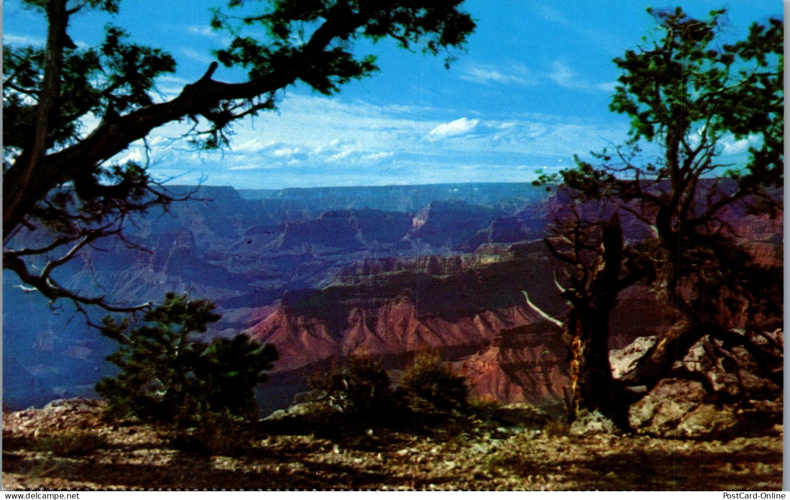 48217 - USA - Grand Canyon , National Park , Arizona - Nicht Gelaufen  - Grand Canyon