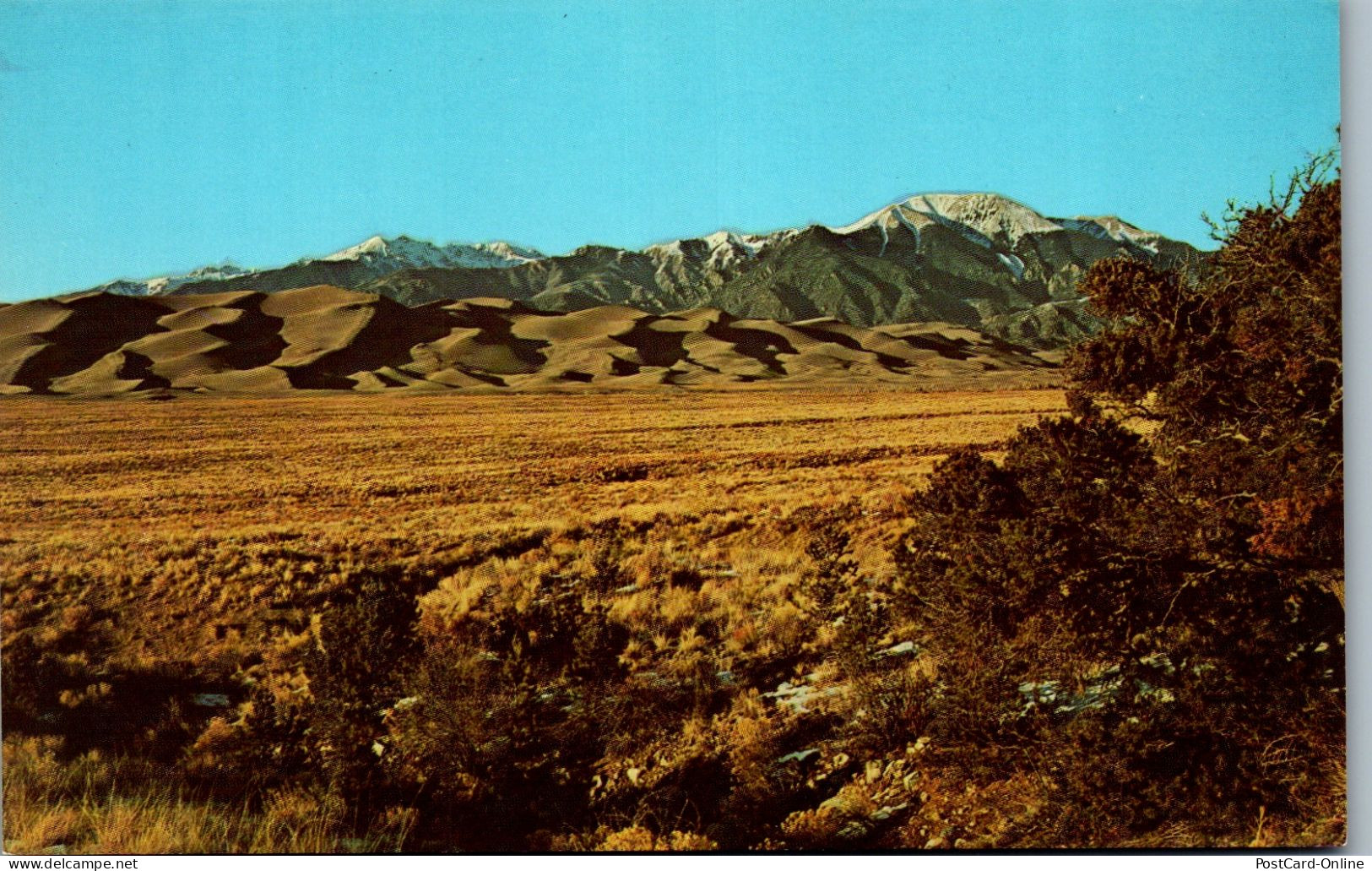 48211 - USA - Colorado , Sand Dunes , Geologic Monument  - Nicht Gelaufen  - Andere & Zonder Classificatie