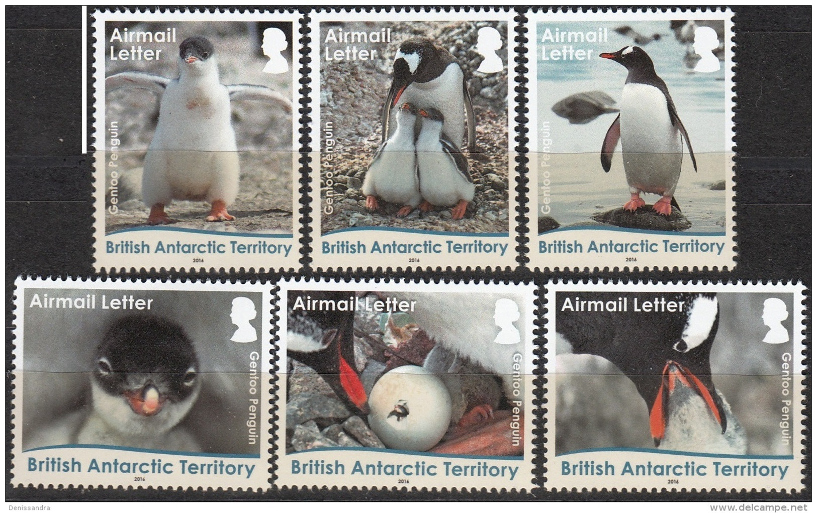 British Antarctic Territory 2016 Manchot Gentoo Lettre Neuf ** - Unused Stamps