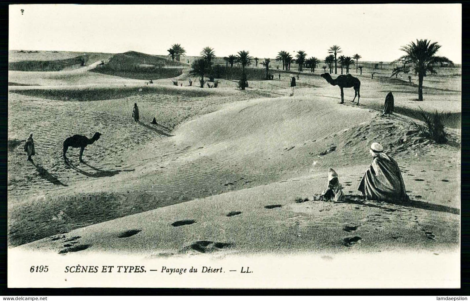 A65  ALGERIE CPA  SCENES ET TYPES - PAYSAGE DU DESERT - Collections & Lots