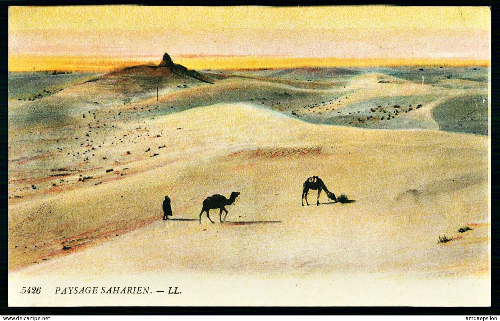 A65  ALGERIE CPA  PAYSAGE SAHARIEN - Collections & Lots