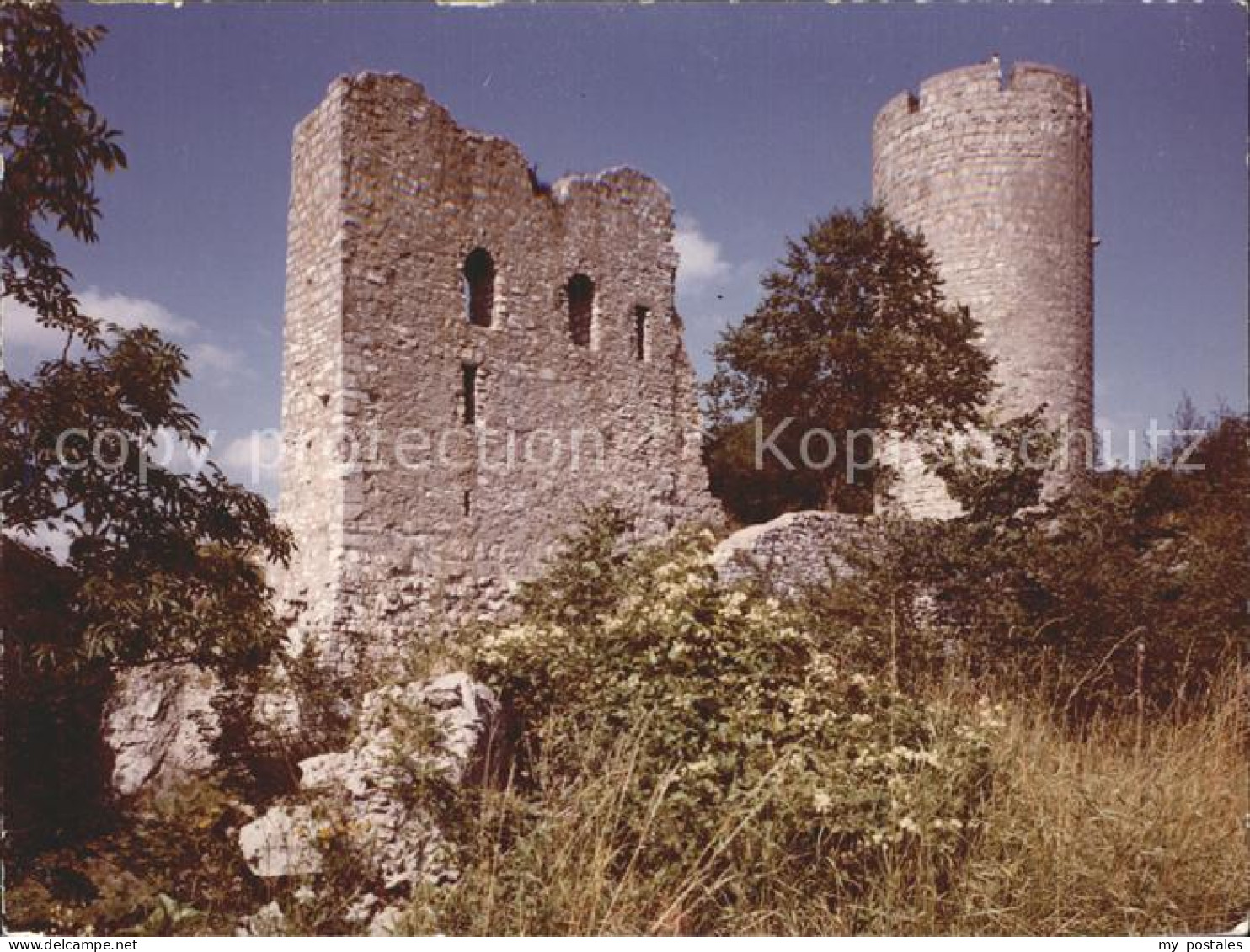 42297784 Neumarkt Oberpfalz Burgruine Neumarkt - Neumarkt I. D. Oberpfalz