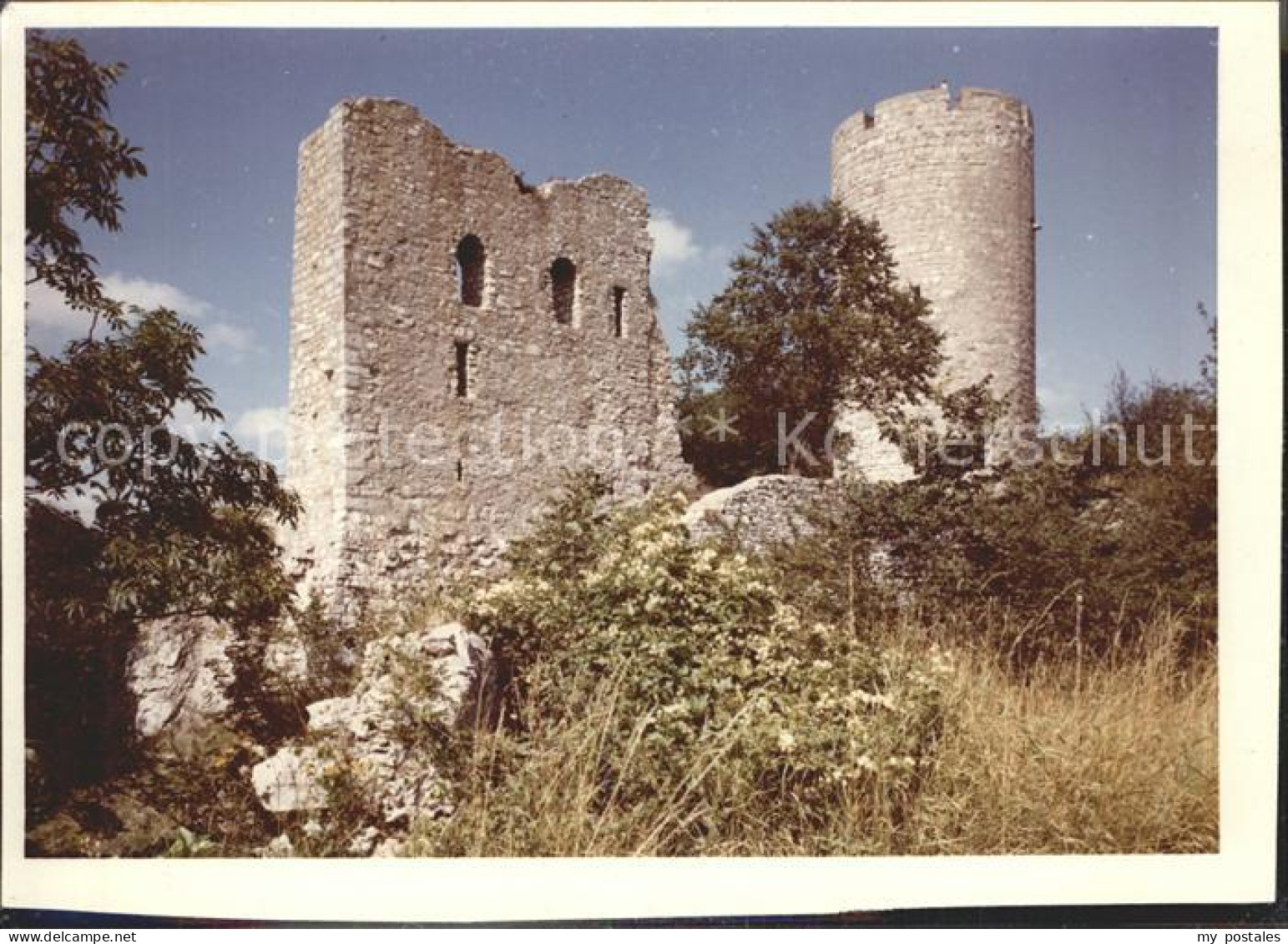 42297772 Neumarkt Oberpfalz Burgruine Neumarkt - Neumarkt I. D. Oberpfalz