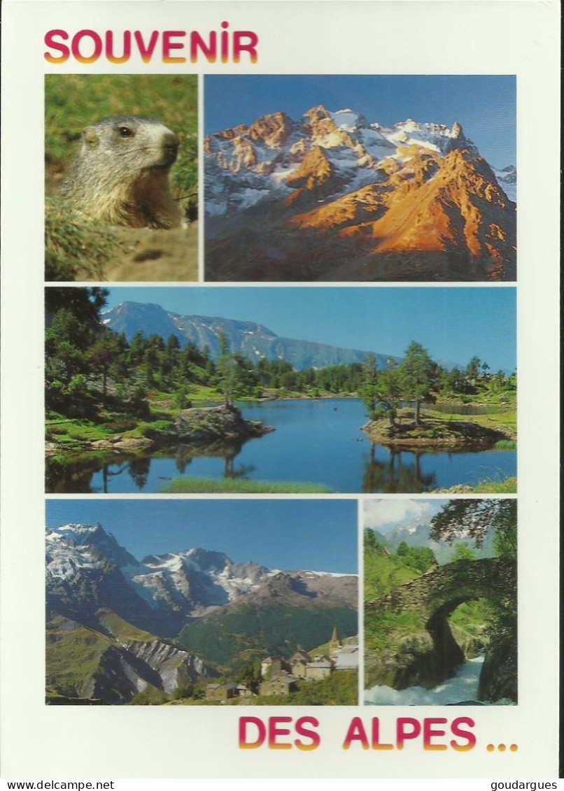 Souvenir Des Alpes En été ! - Multivues - Photos René Gérard Collomb - (P) - Rhône-Alpes