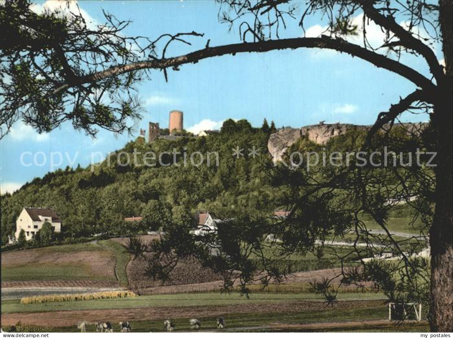 42297589 Neumarkt Oberpfalz Blick Zur Burgruine Neumarkt - Neumarkt I. D. Oberpfalz