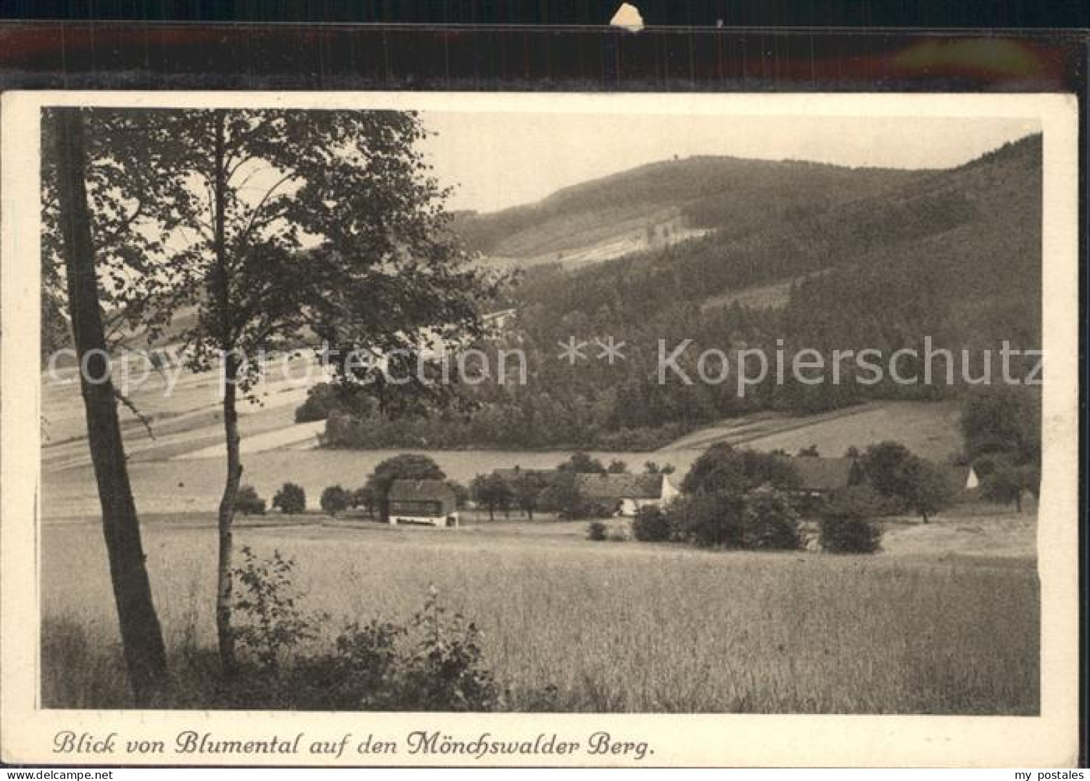 42295475 Wilthen Blick Vom Blumental Auf Den Moenchswalder Berg Wilthen - Wilthen