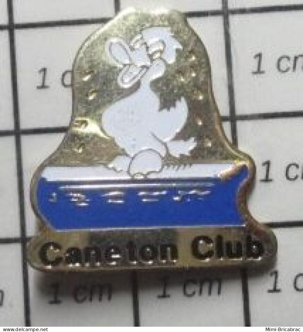113A Pin's Pins / Beau Et Rare / SPORTS / NATATION CANETON CLUB CANARD - Swimming