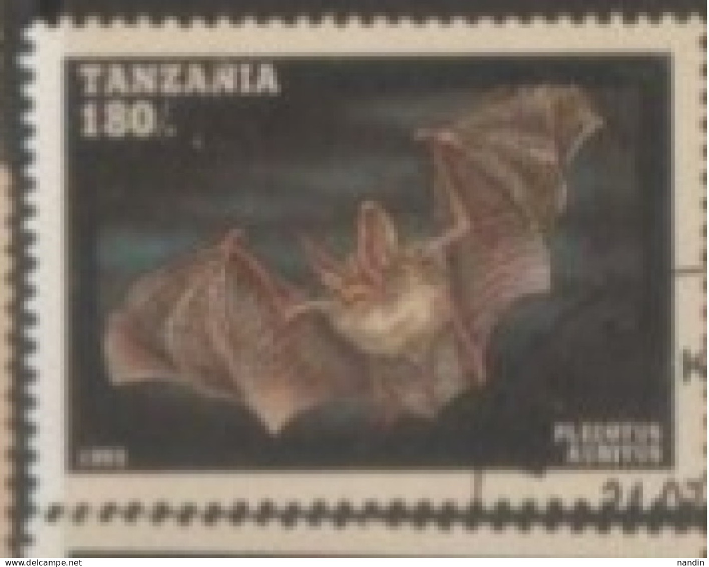 1995 TANZANIA STAMP USED On Fauna/Mammals/Bat/Plecotus Auritus-Brown Long-eared Bat - Pipistrelli