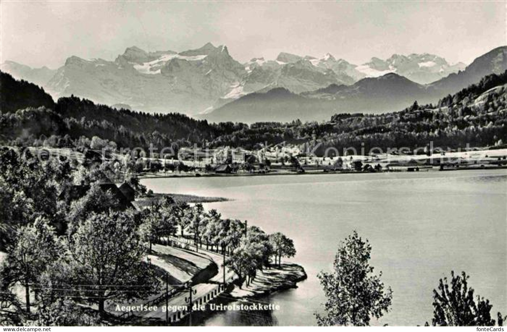 12767773 Aegerisee Aegerisee Unteraegeri Unter-Aegeri ZG Panorama Blick Gegen Di - Andere & Zonder Classificatie