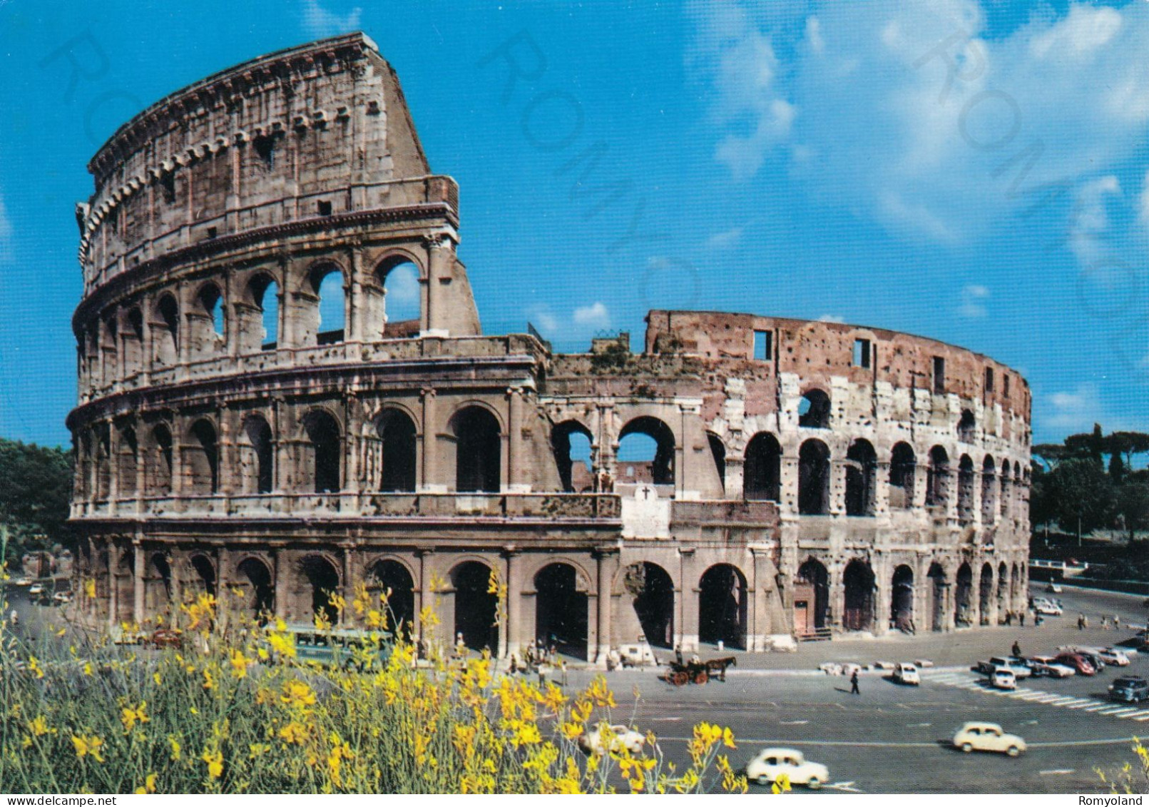 CARTOLINA  ROMA,LAZIO-IL COLOSSEO-MEMORIA,CULTURA,RELIGIONE,IMPERO ROMANO,CRISTIANESIMO,BELLA ITALIA,NON VIAGGIATA - Colisée