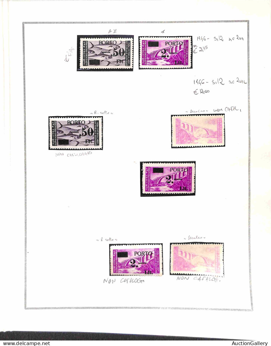 Occupazioni Straniere Di Territori Italiani - Occupazione Jugoslava - Istria E Litorale Sloveno - 1945/1946 - Insieme Mi - Autres & Non Classés