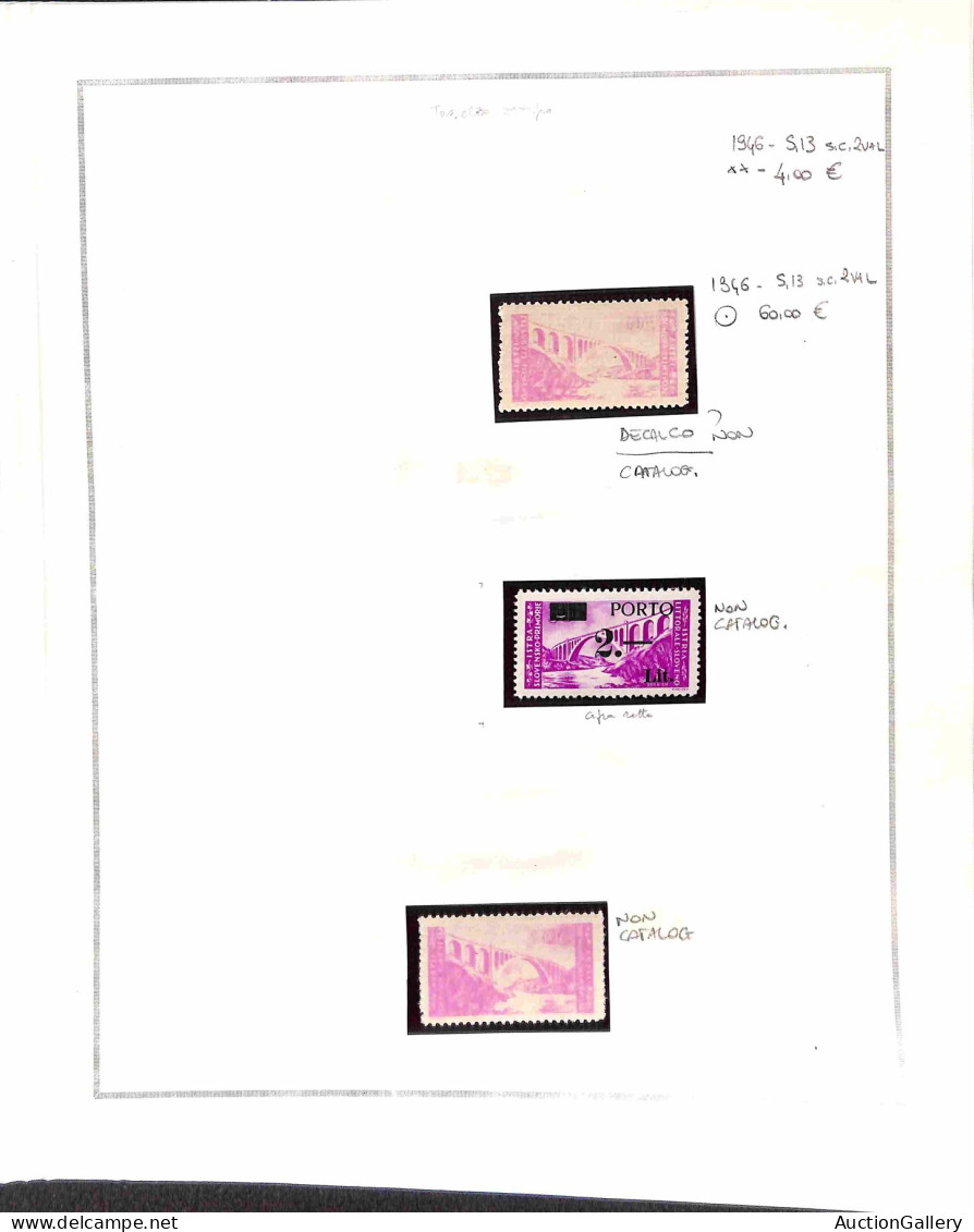 Occupazioni Straniere Di Territori Italiani - Occupazione Jugoslava - Istria E Litorale Sloveno - 1945/1946 - Insieme Mi - Autres & Non Classés