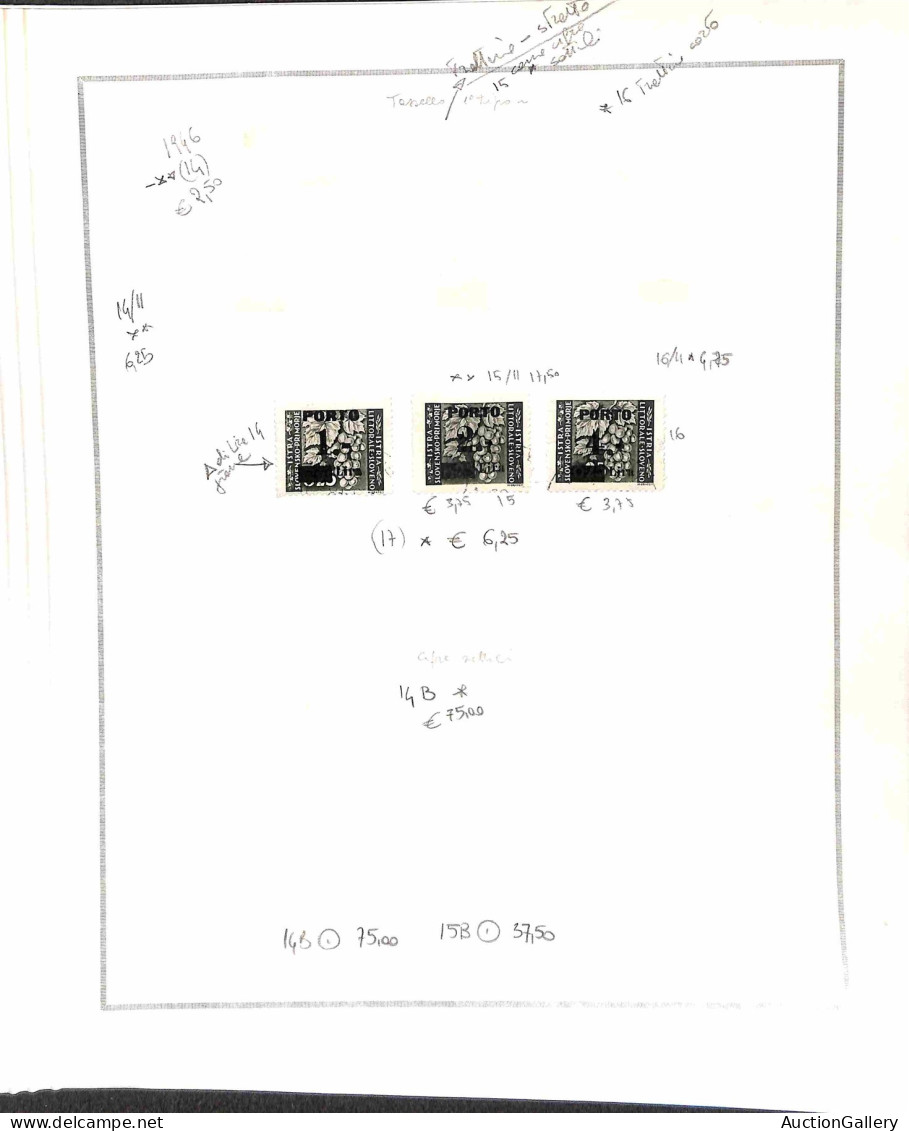 Occupazioni straniere di territori Italiani - Occupazione Jugoslava - Istria e litorale Sloveno - 1945/1946 - Insieme mi