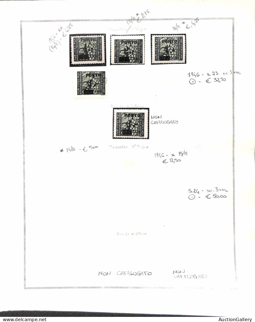 Occupazioni straniere di territori Italiani - Occupazione Jugoslava - Istria e litorale Sloveno - 1945/1946 - Insieme mi