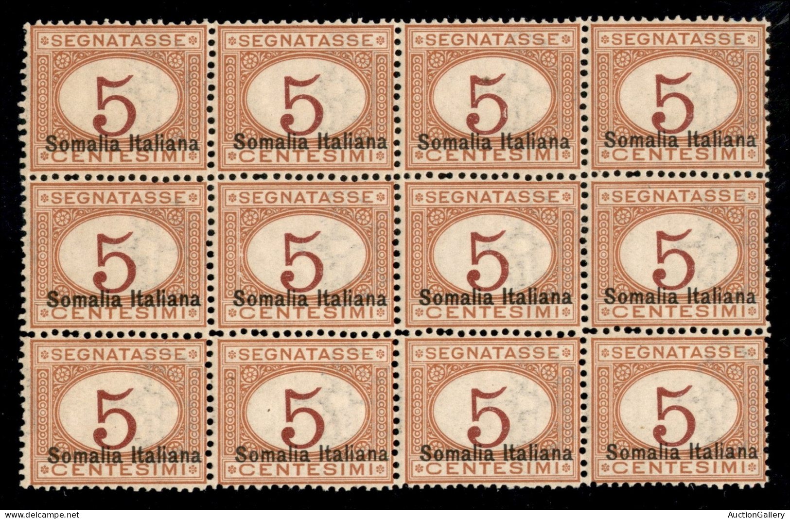 Colonie - Somalia - 1920 - 5 Cent (23 Varietà D) - Blocco Di 12 Con Decalco (evanescente Nella Fila Superiore) - Gomma I - Sonstige & Ohne Zuordnung