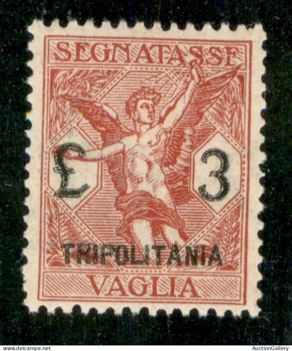 Colonie - Tripolitania - Segnatasse Vaglia - 1924 - 3 Lire (6) - Gomma Integra - Ottimamente Centrato - Other & Unclassified