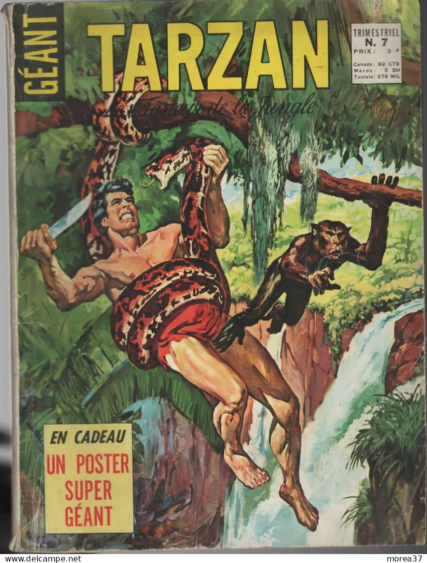 TARZAN GEANT  N°7   ( PF 03) - Tarzan