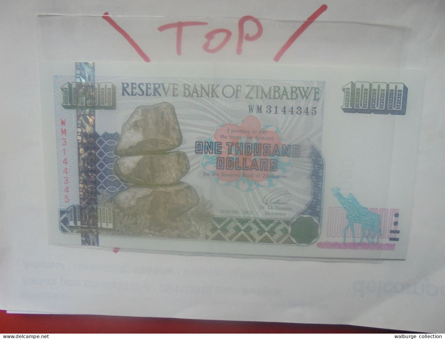 ZIMBABWE 1000$ 2003 Neuf (B.31) - Zimbabwe