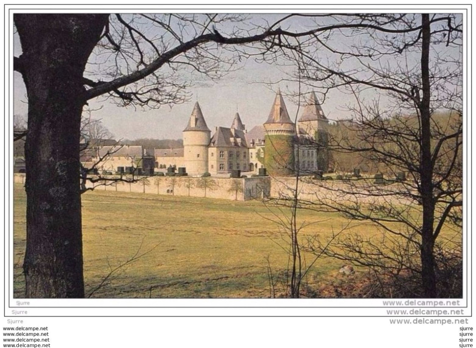 AGIMONT / Hastière - Château - Kasteel - Hastière