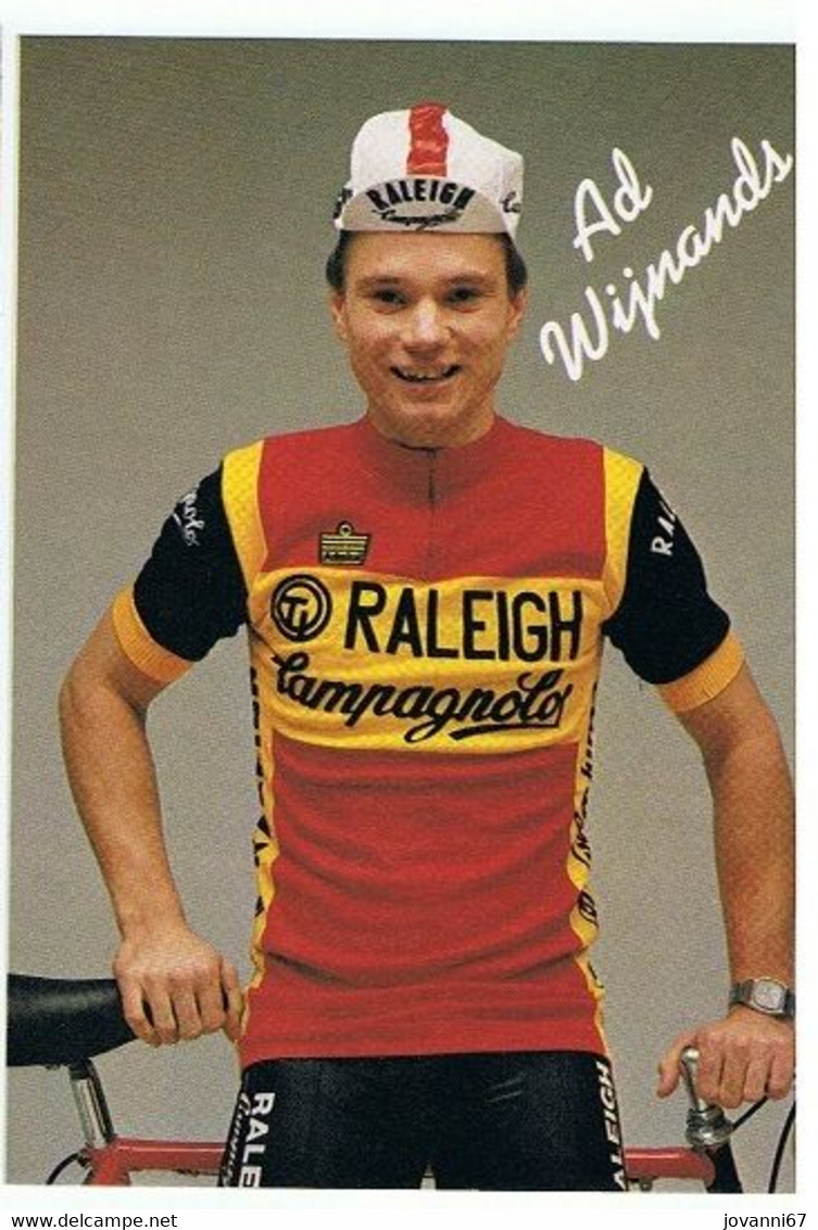 Ad Wijnands - TI Raleigh - 1982 - Card / Carte - Cyclists - Cyclisme - Ciclismo -wielrennen - Cyclisme