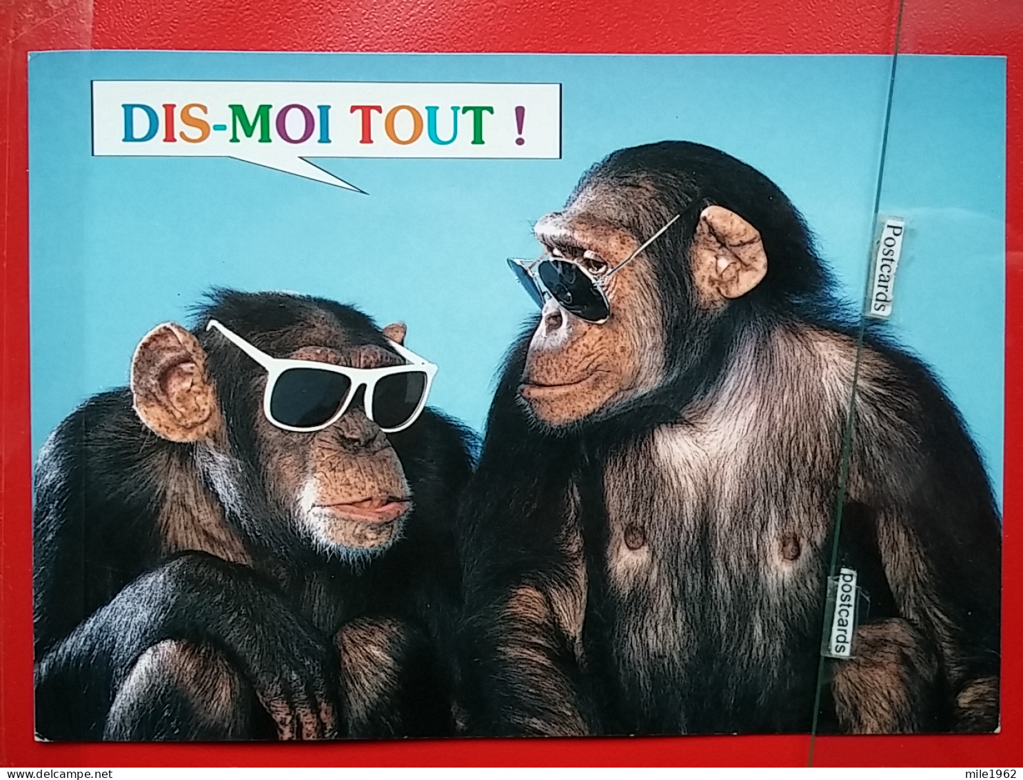 KOV 507-1 - MONKEY, Comic, Humour - Singes