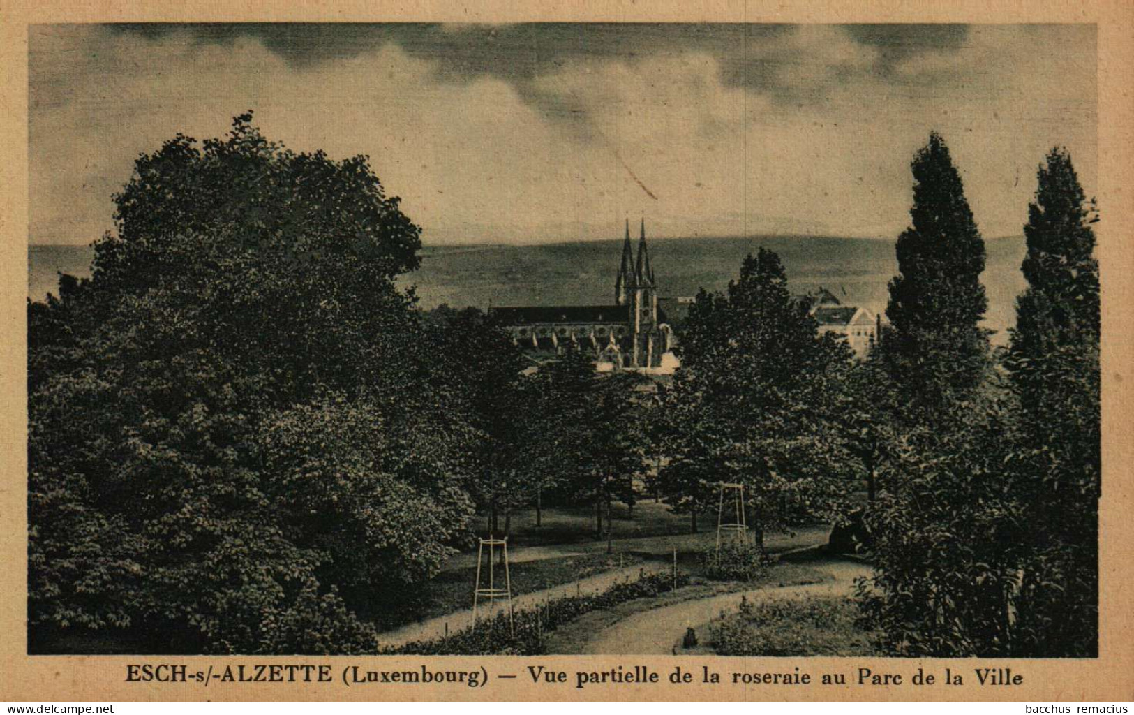 ESCH-SUR-ALZETTE  - Vue Partielle De La Roseraie Au Parc De La Ville - Esch-Alzette