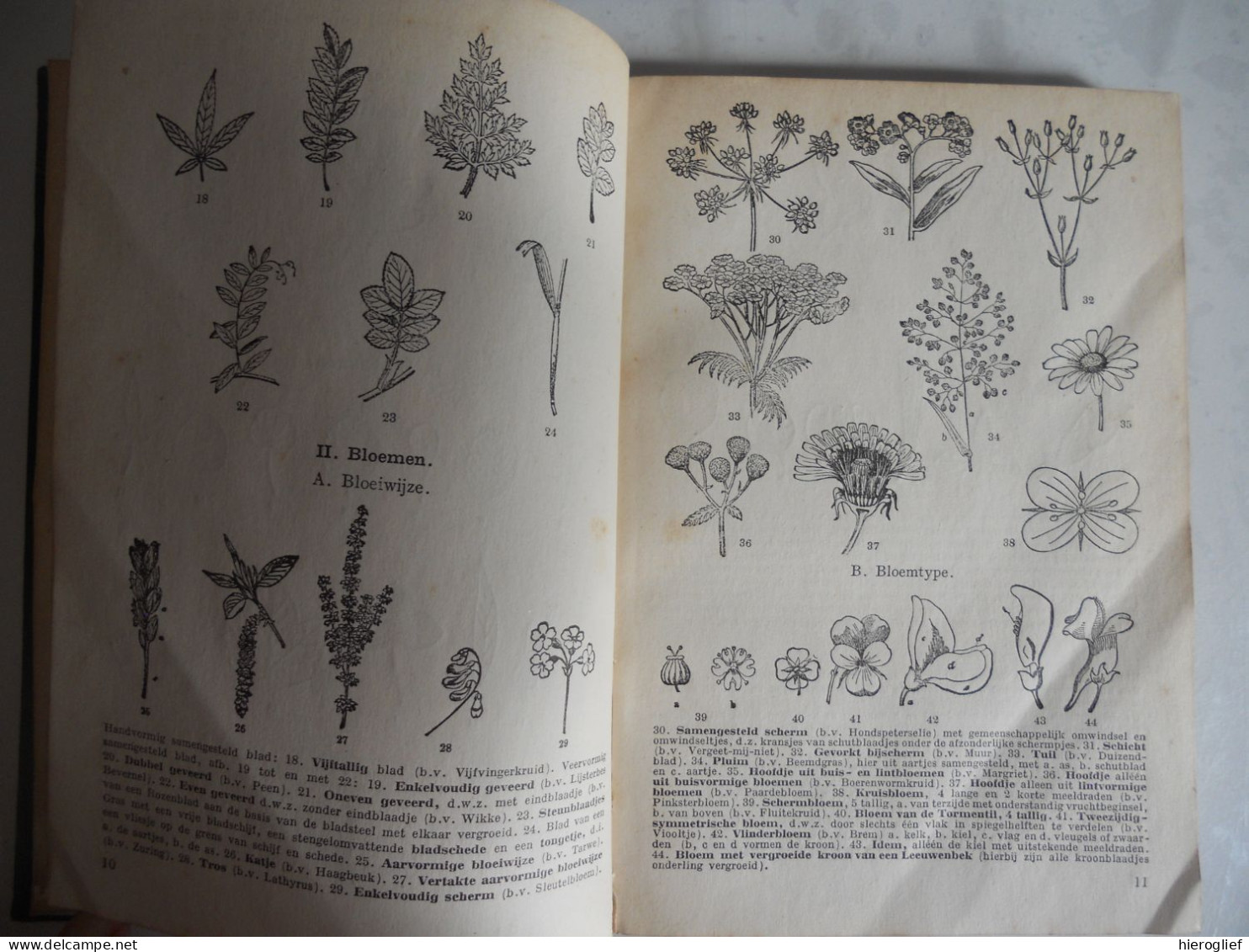 WAT BLOEIT DAAR ? Meer Dan 600 Planten Bepalen Naar Bloei Door Kosch & Müller / Determinatie Bloemen Struiken Flora - Practical