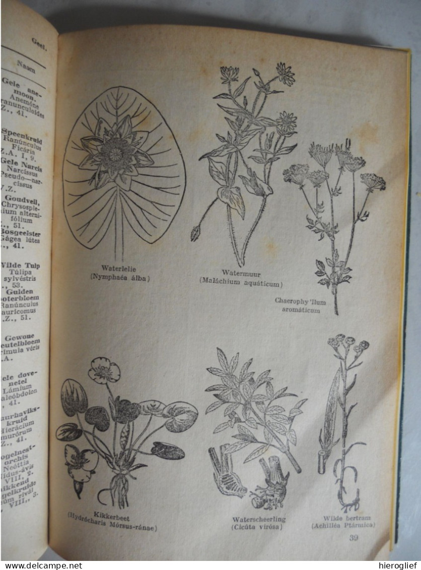 WAT BLOEIT DAAR ? Meer Dan 600 Planten Bepalen Naar Bloei Door Kosch & Müller / Determinatie Bloemen Struiken Flora - Sachbücher