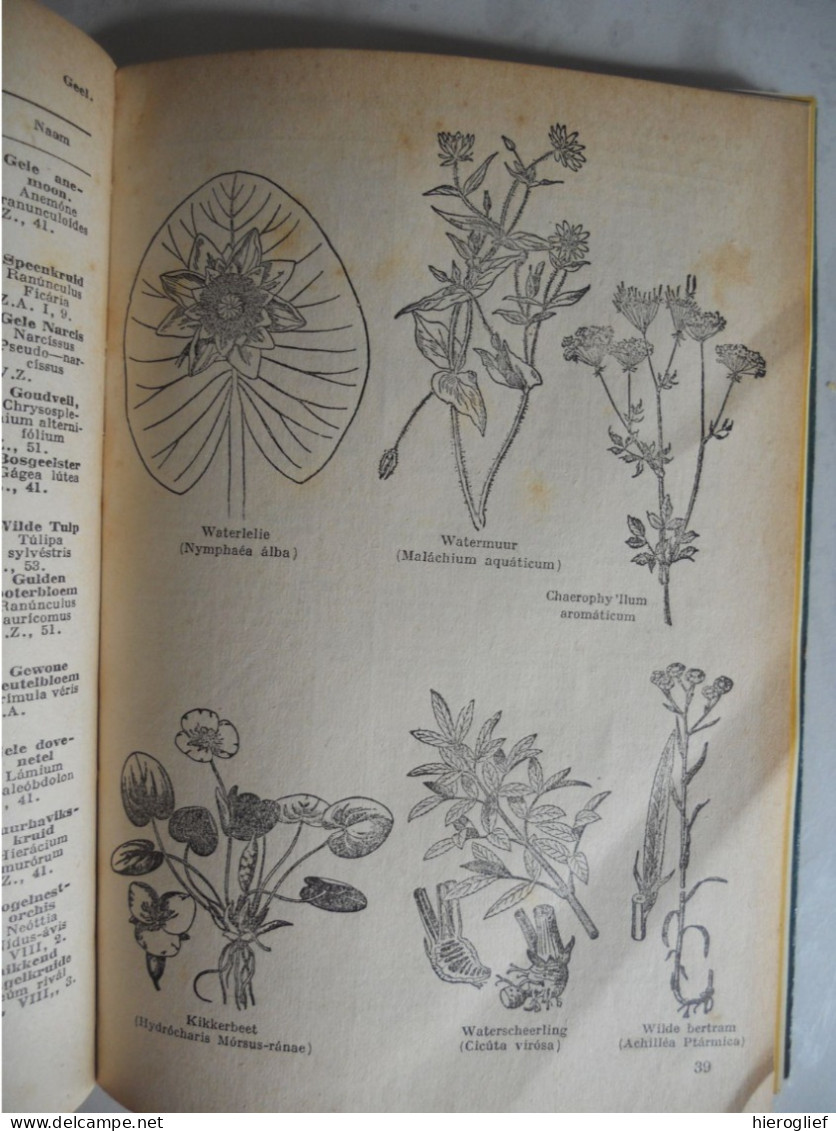 WAT BLOEIT DAAR ? Meer Dan 600 Planten Bepalen Naar Bloei Door Kosch & Müller / Determinatie Bloemen Struiken Flora - Practical