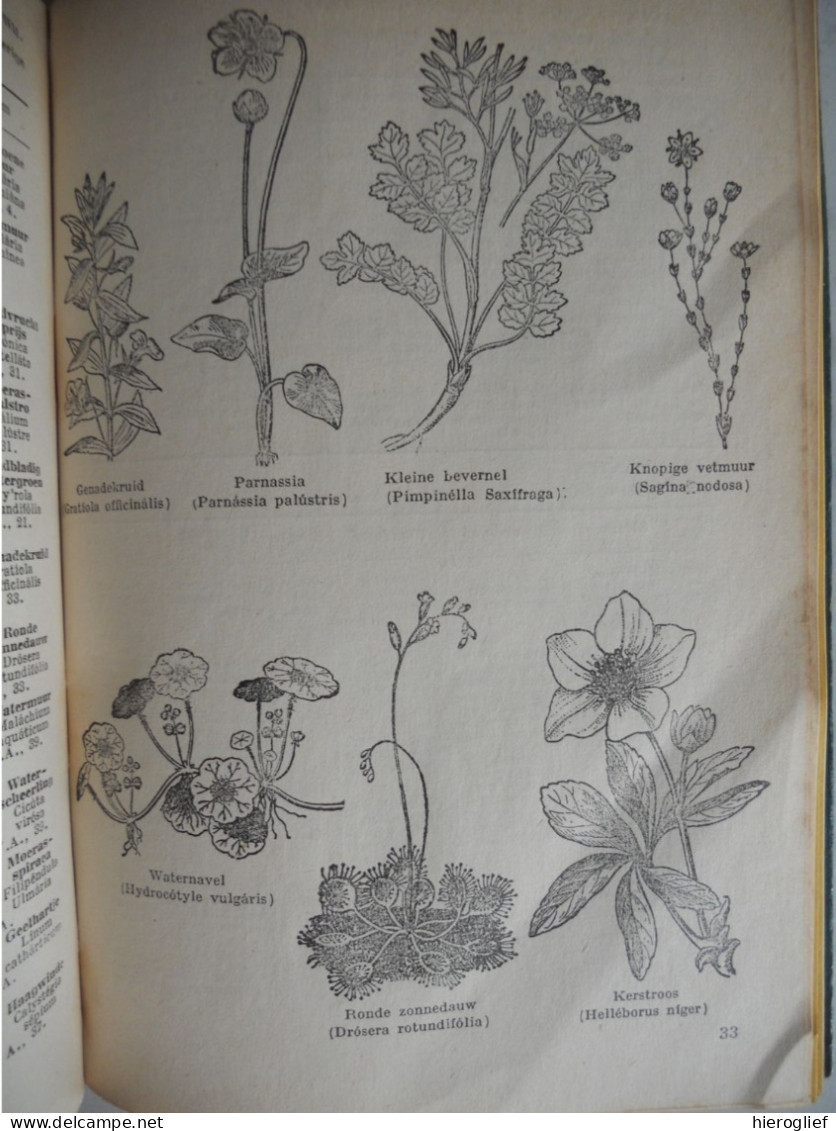 WAT BLOEIT DAAR ? meer dan 600 planten bepalen naar bloei door Kosch & Müller / determinatie bloemen struiken flora
