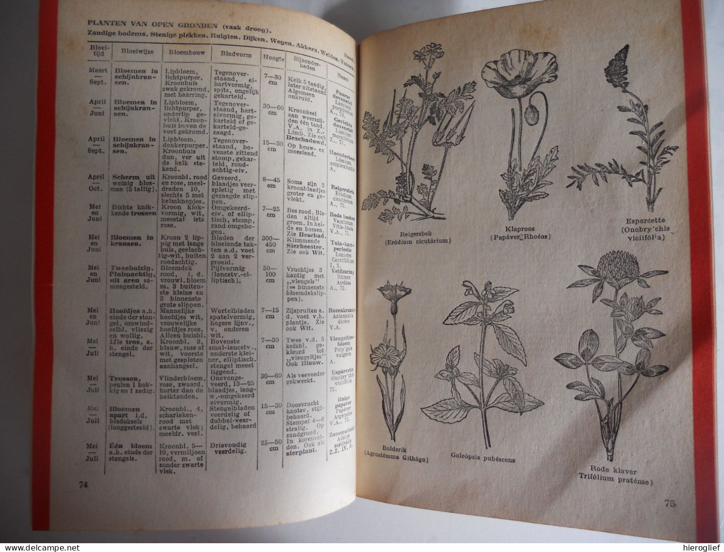 WAT BLOEIT DAAR ? meer dan 600 planten bepalen naar bloei door Kosch & Müller / determinatie bloemen struiken flora