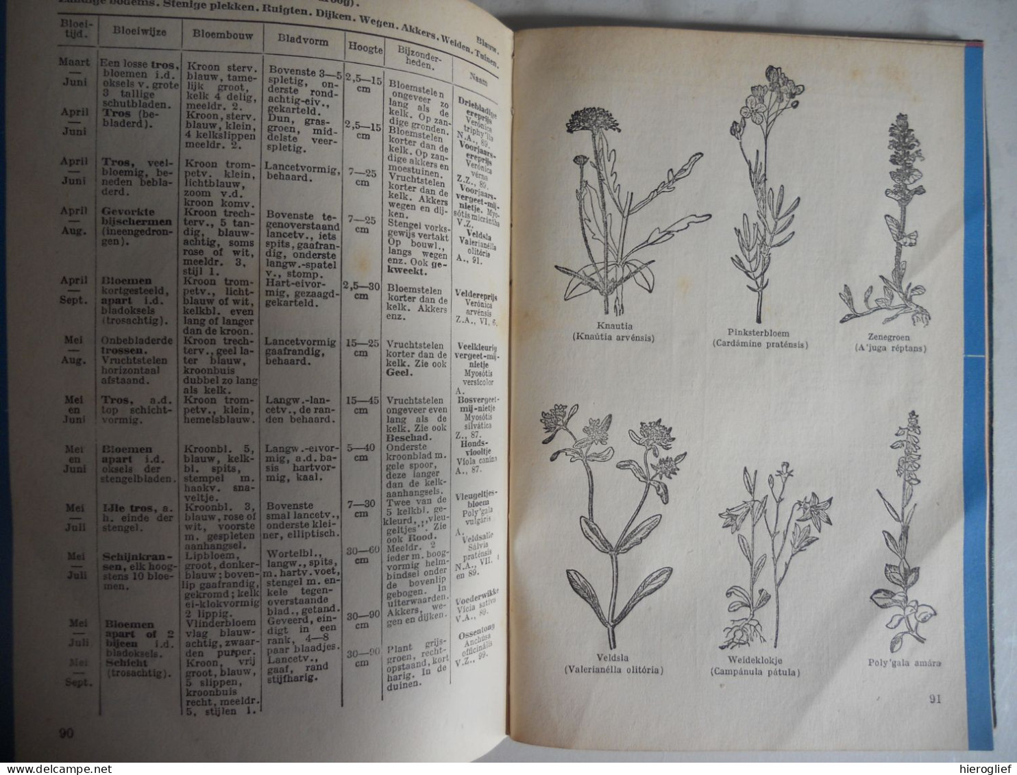 WAT BLOEIT DAAR ? meer dan 600 planten bepalen naar bloei door Kosch & Müller / determinatie bloemen struiken flora