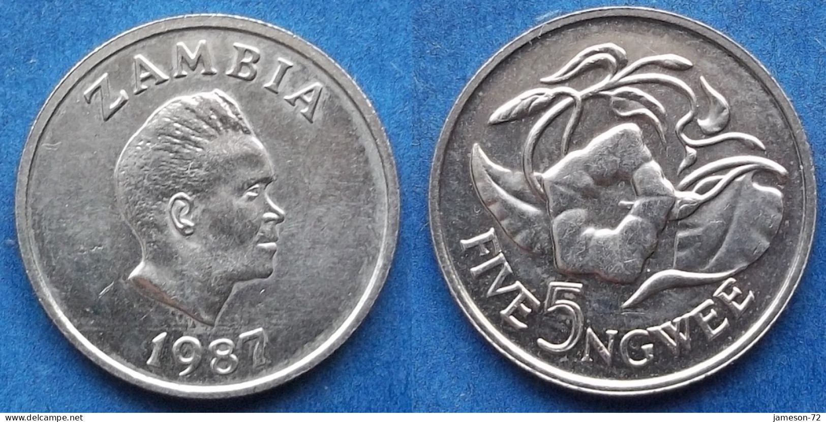 ZAMBIA - 5 Ngwee 1987 "Morning Glory" KM# 11 Decimal Coinage (1968-2013) - Edelweiss Coins - Zambia