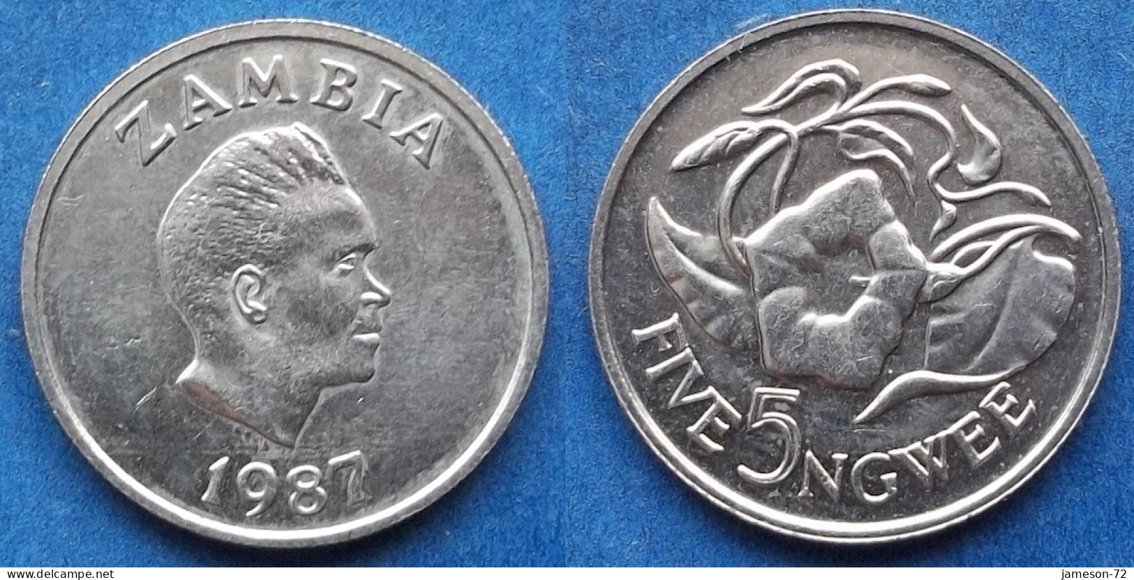 ZAMBIA - 5 Ngwee 1987 "Morning Glory" KM# 11 Decimal Coinage (1968-2013) - Edelweiss Coins - Zambie