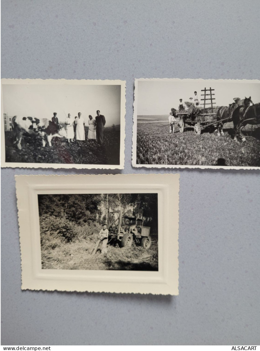 3 Photos Travaux Des Champs Et De La Forêt    , Tracteur Avec Fendeuse De Buches - Lieux