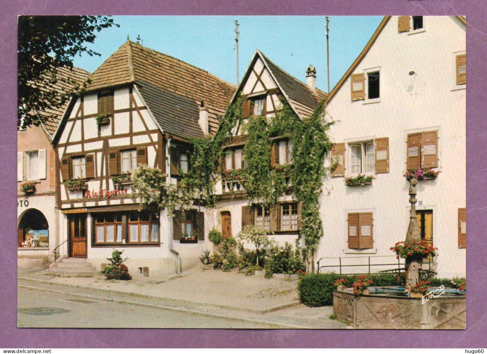 DAMBACH-LA-VILLE - La Fontaine De L'Ours Et Restaurant " A La Vignette " - Dambach-la-ville