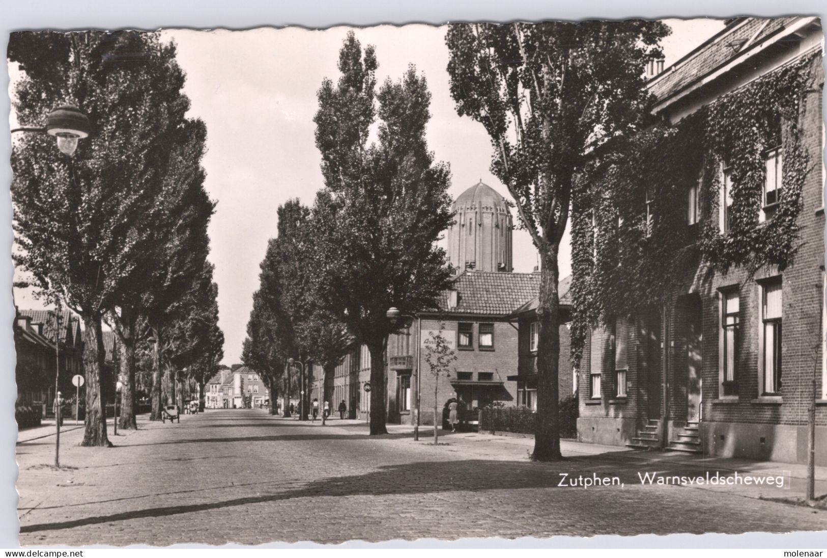 Postkaarten > Europa > Nederland > Gelderland >  Zutphen Warnsveldseweg Ongebruikt (13508) - Zutphen