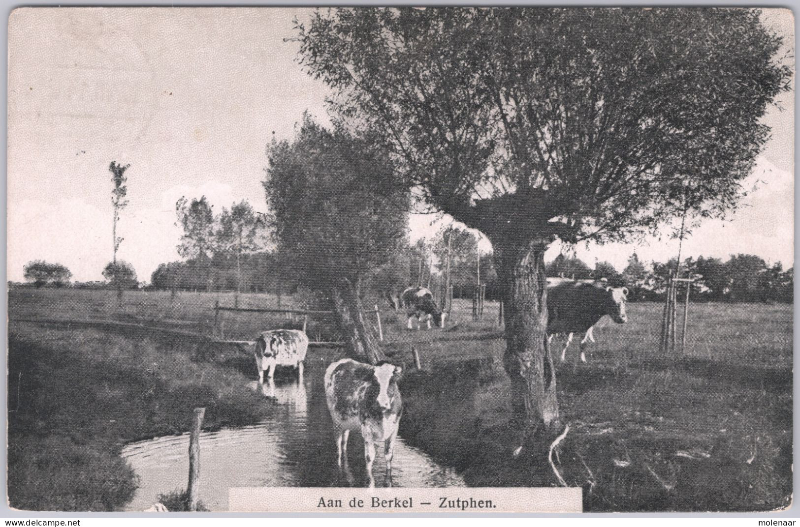 Postkaarten > Europa > Nederland > Gelderland >  Zutphen Aan De Berkel Gebruikt 1914 (13510) - Zutphen