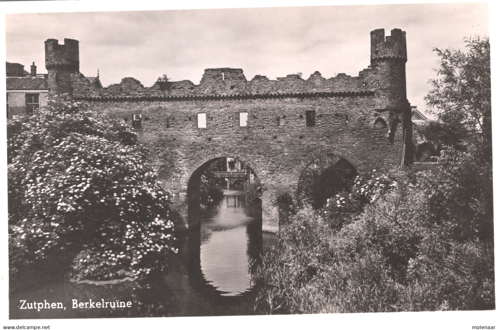 Postkaarten > Europa > Nederland > Gelderland >  Zutphen Berkelruine Gebruikt 1952 (13524) - Zutphen