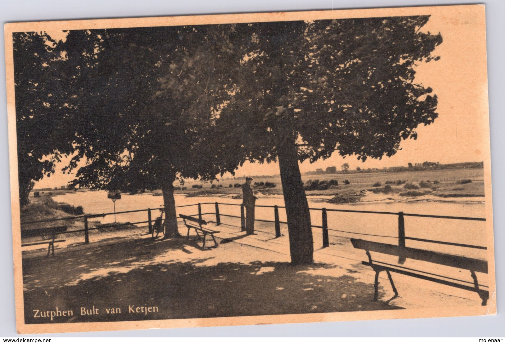 Postkaarten > Europa > Nederland > Gelderland >Zutphen Bult Van Ketjen Gebruikt 1951 (13536) - Zutphen