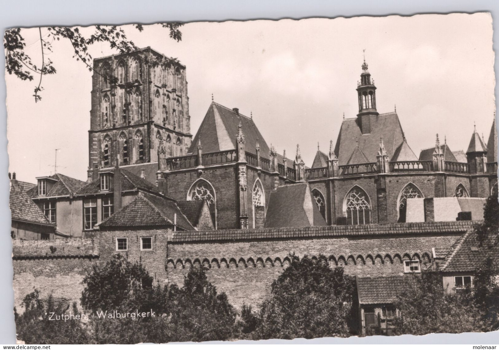 Postkaarten > Europa > Nederland > Gelderland >Zutphen Walburgkerk Gebruikt 1960 (13540) - Zutphen