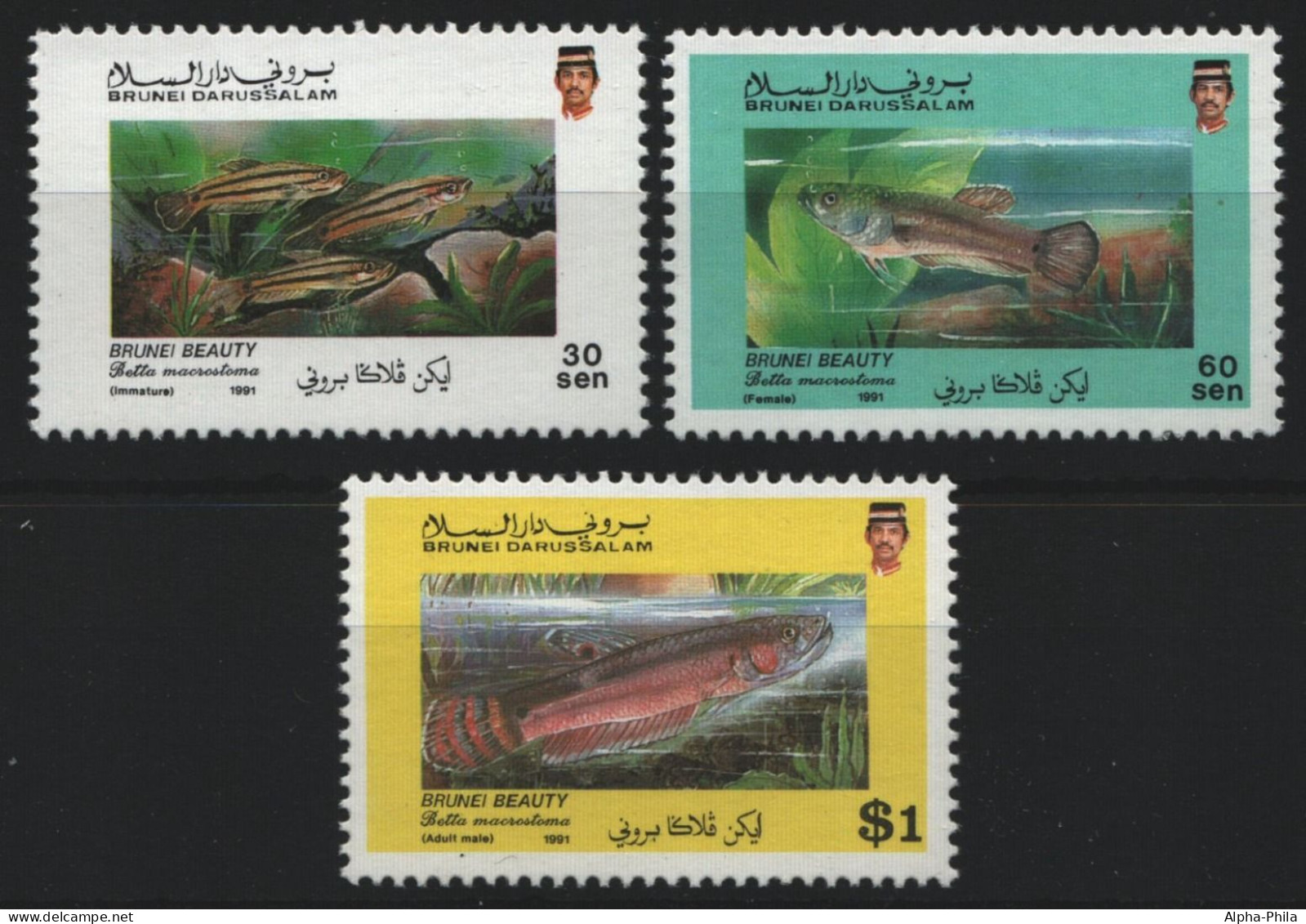 Brunei 1991 - Mi-Nr. 436-438 ** - MNH - Fische / Fish - Brunei (1984-...)